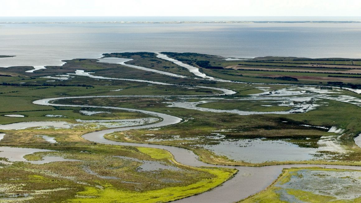 Skjern å genopretning