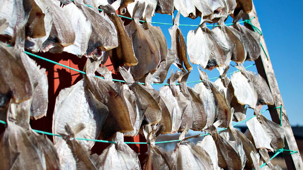 Dabs - lokale specialiteter 