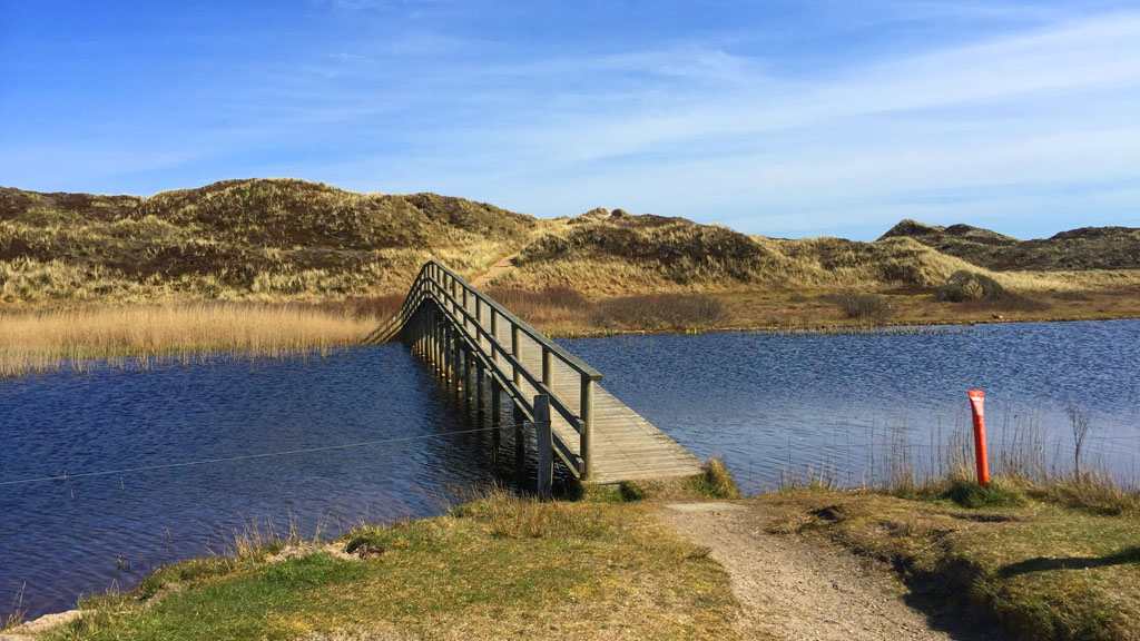 Experience Nature at the North Sea 
