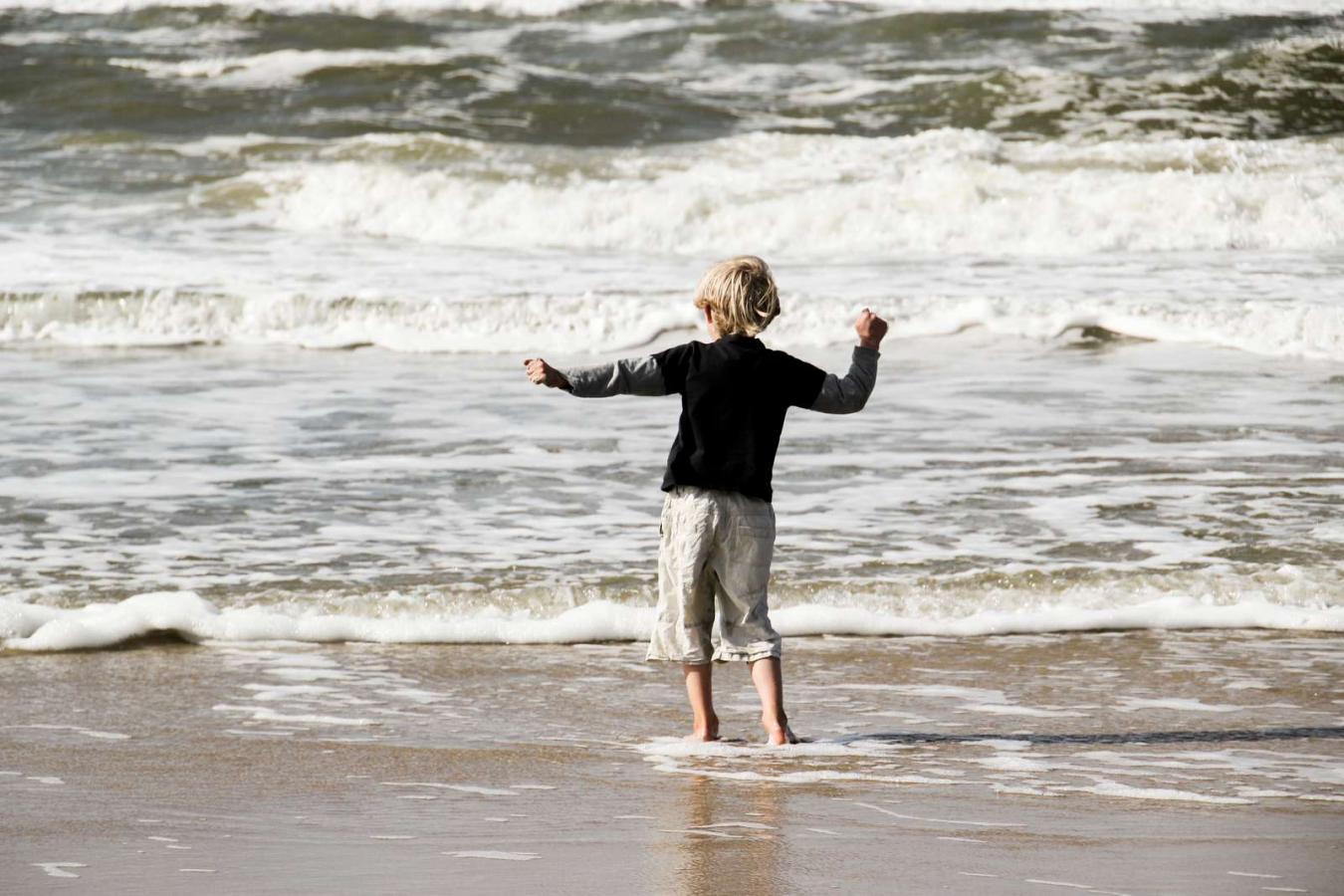 Sommer ved Vesterhavet - Strand