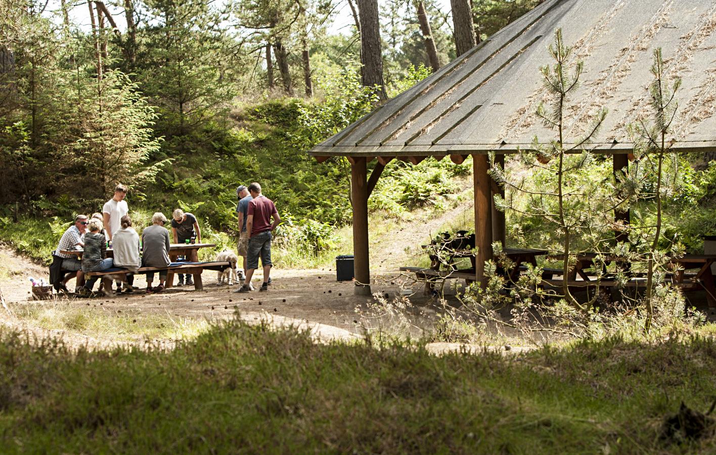 Madpakkehus - skoven