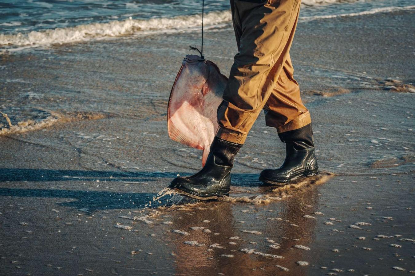 Pighvar - Vejers Strand - Surfcasting