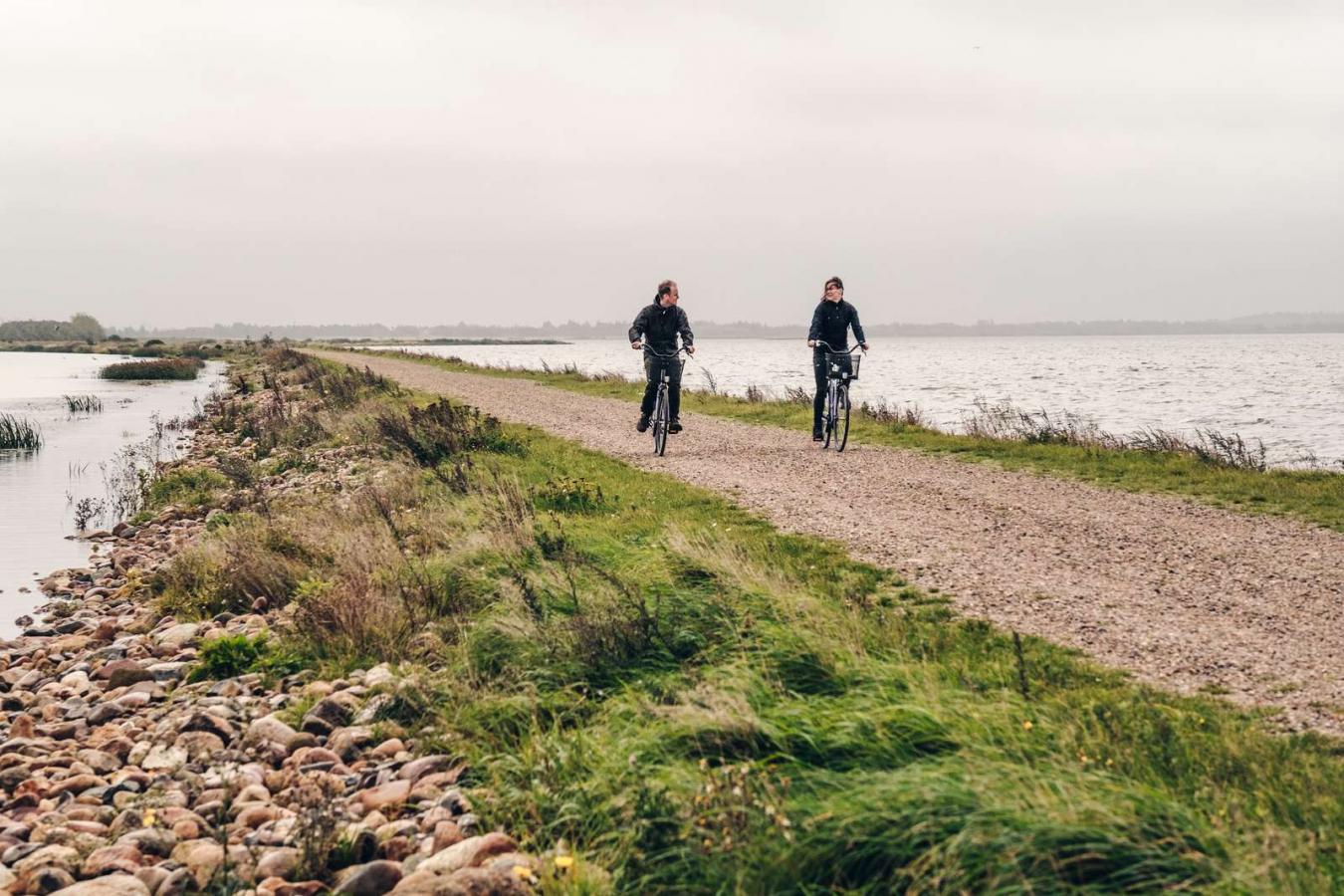 På cykel ved Filsø