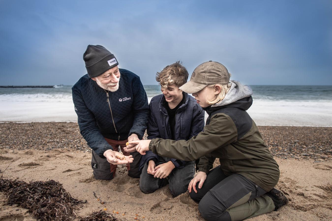 Ravsafari ved Vesterhavet 