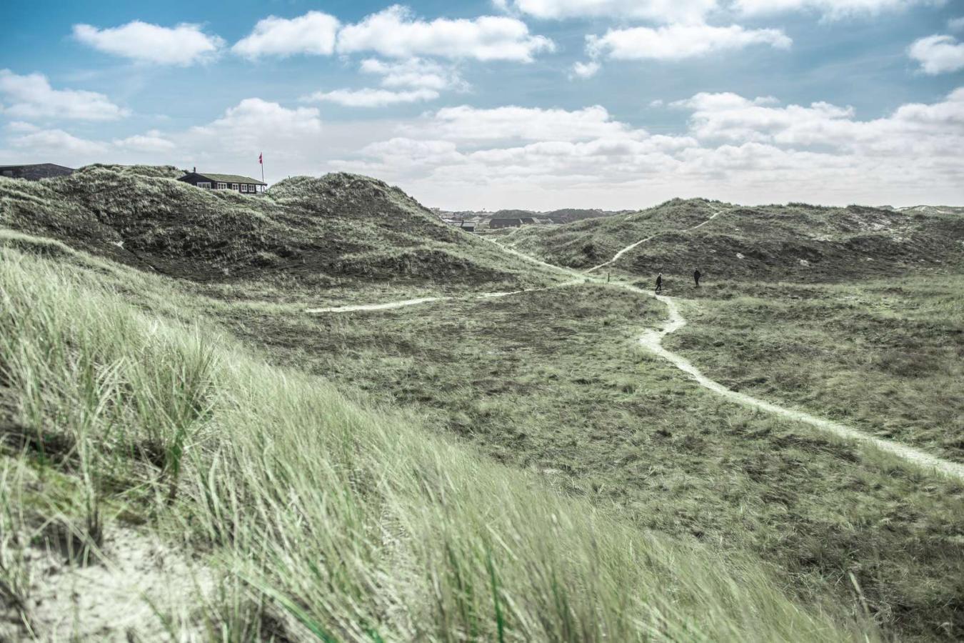 Klitter - Vesterhavet - sommerhuse