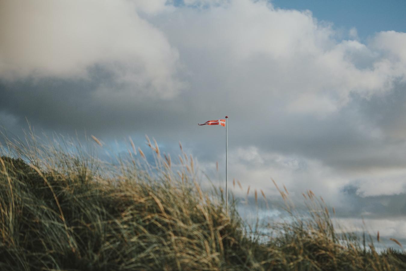 Flag - klitter - sommerhus område