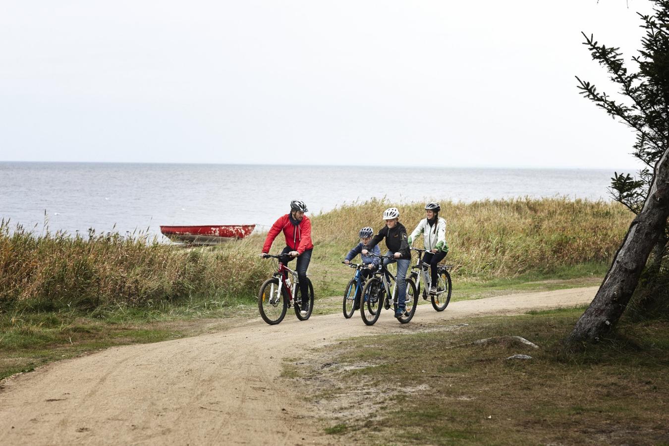 Cykeltur ved Holmsland - familie