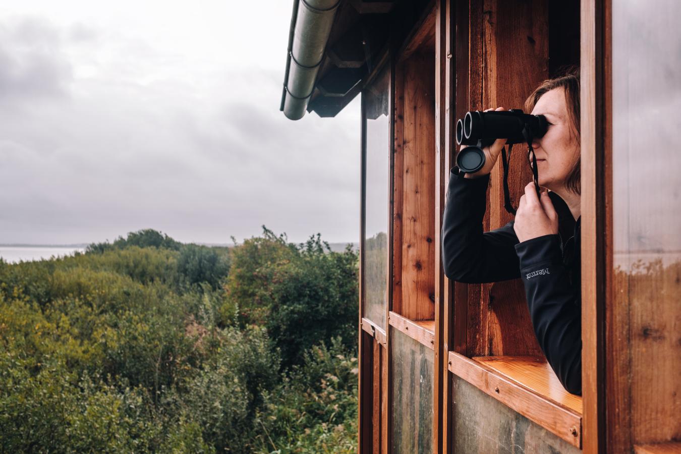 Kvinder kigger i kikkert ud over filsø ved vesterhavet 