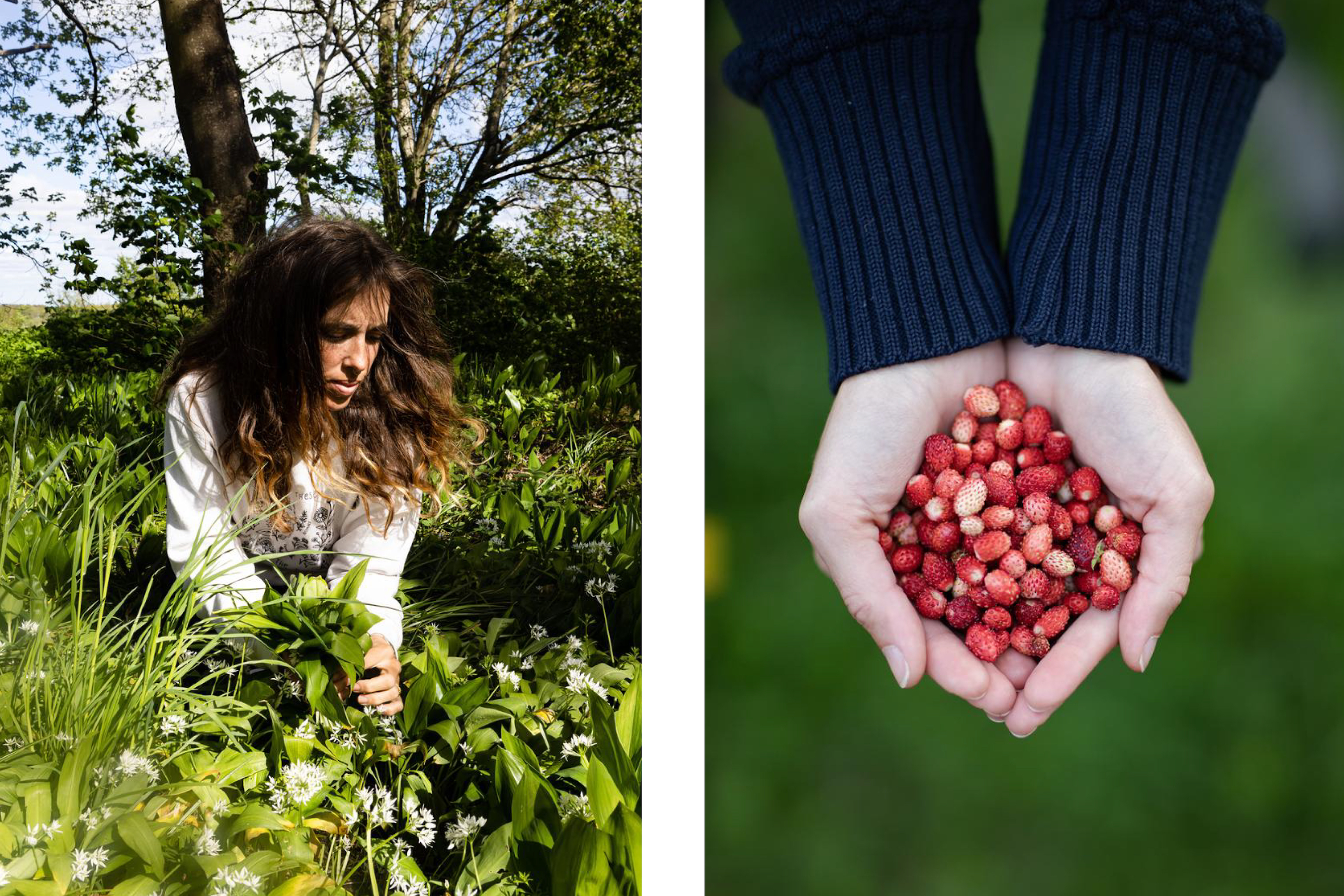 Kvinde plukker bær og sanker ramsløg