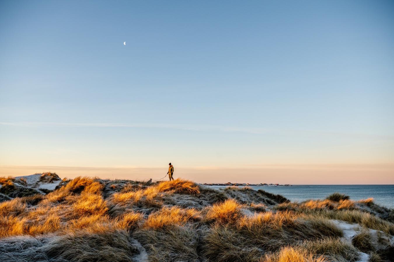 Vandretur i klitterne ved Vesterhavet