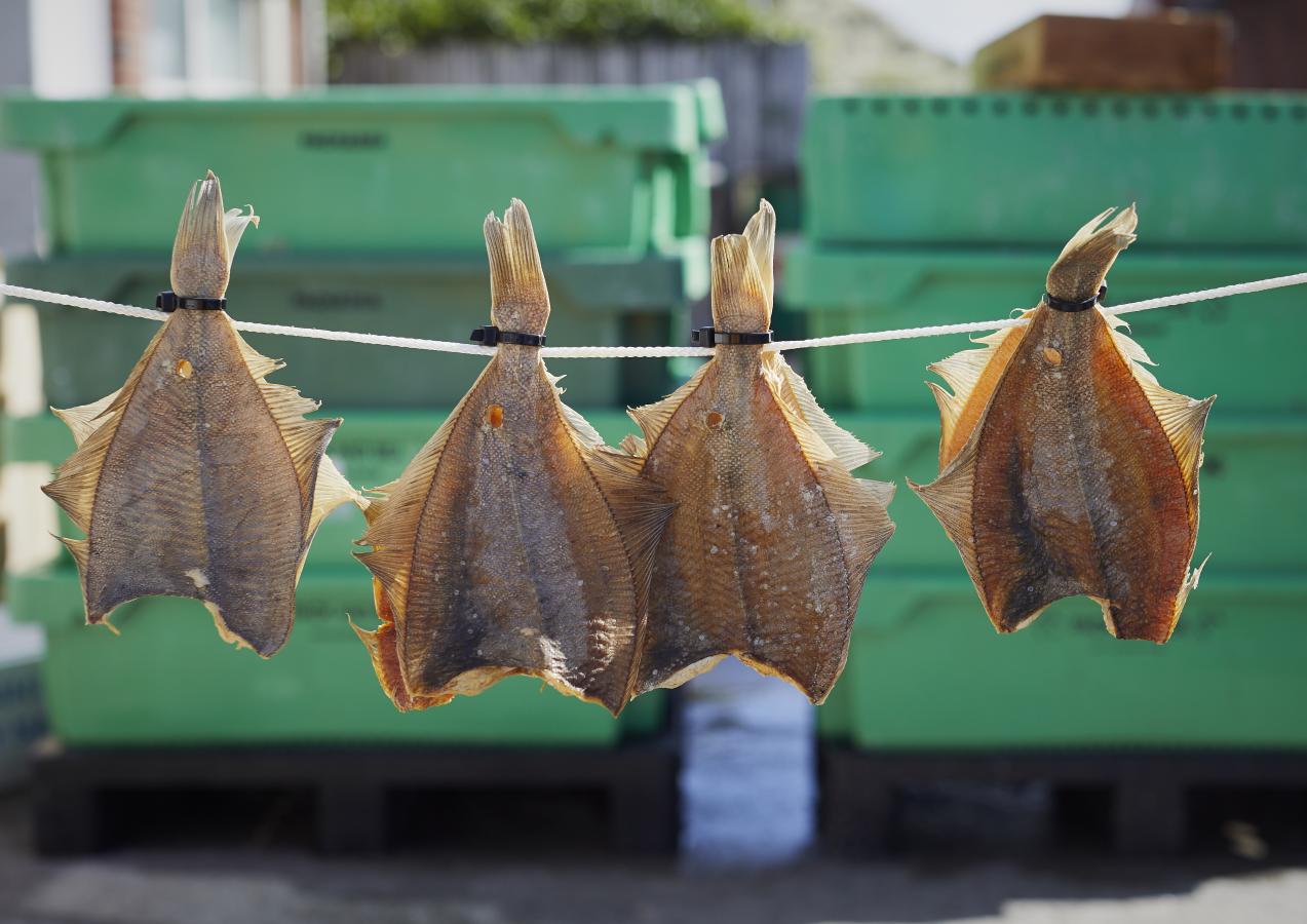 Dabs som hænger til tørre på tørresnor i Hvide Sande