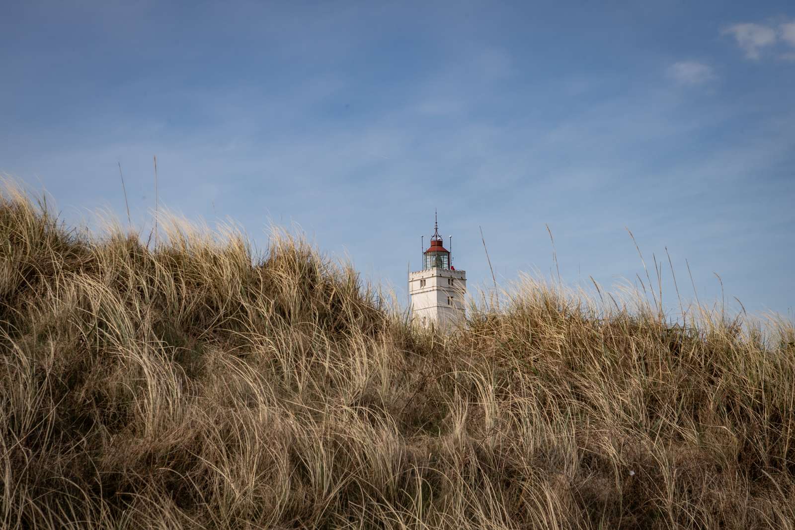 Toppen af Blåvandshuks Fyr i klitlandskab