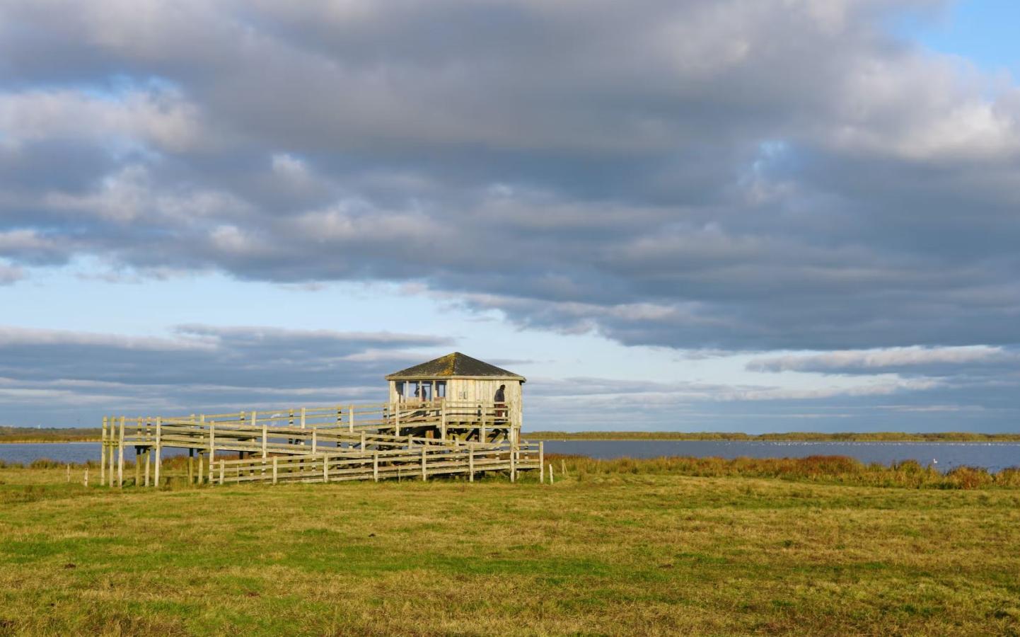 Udsigt over Skjern Å og fugletårnet