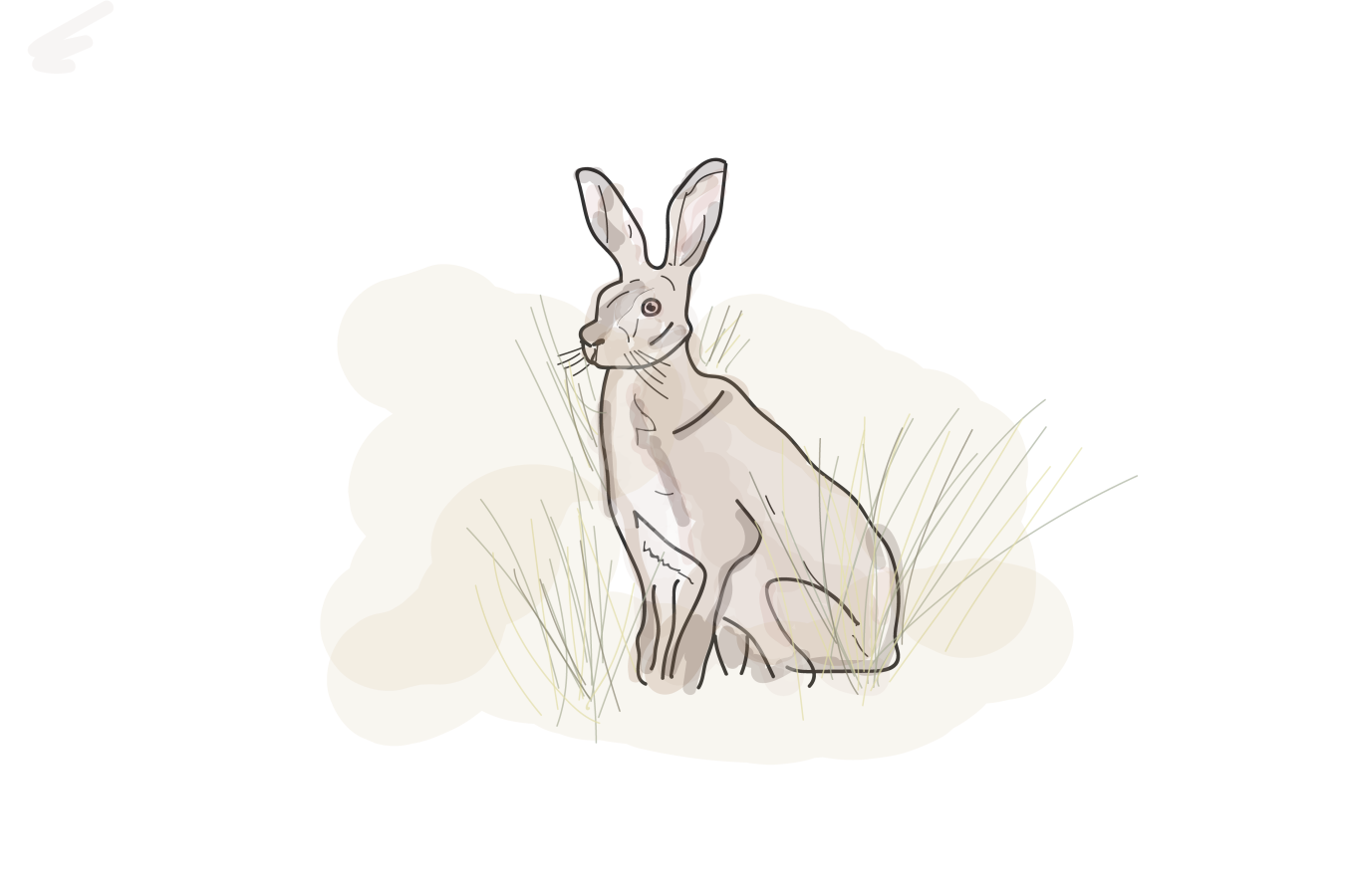 En illustreret hare sidder i klitten ved Vesterhavet
