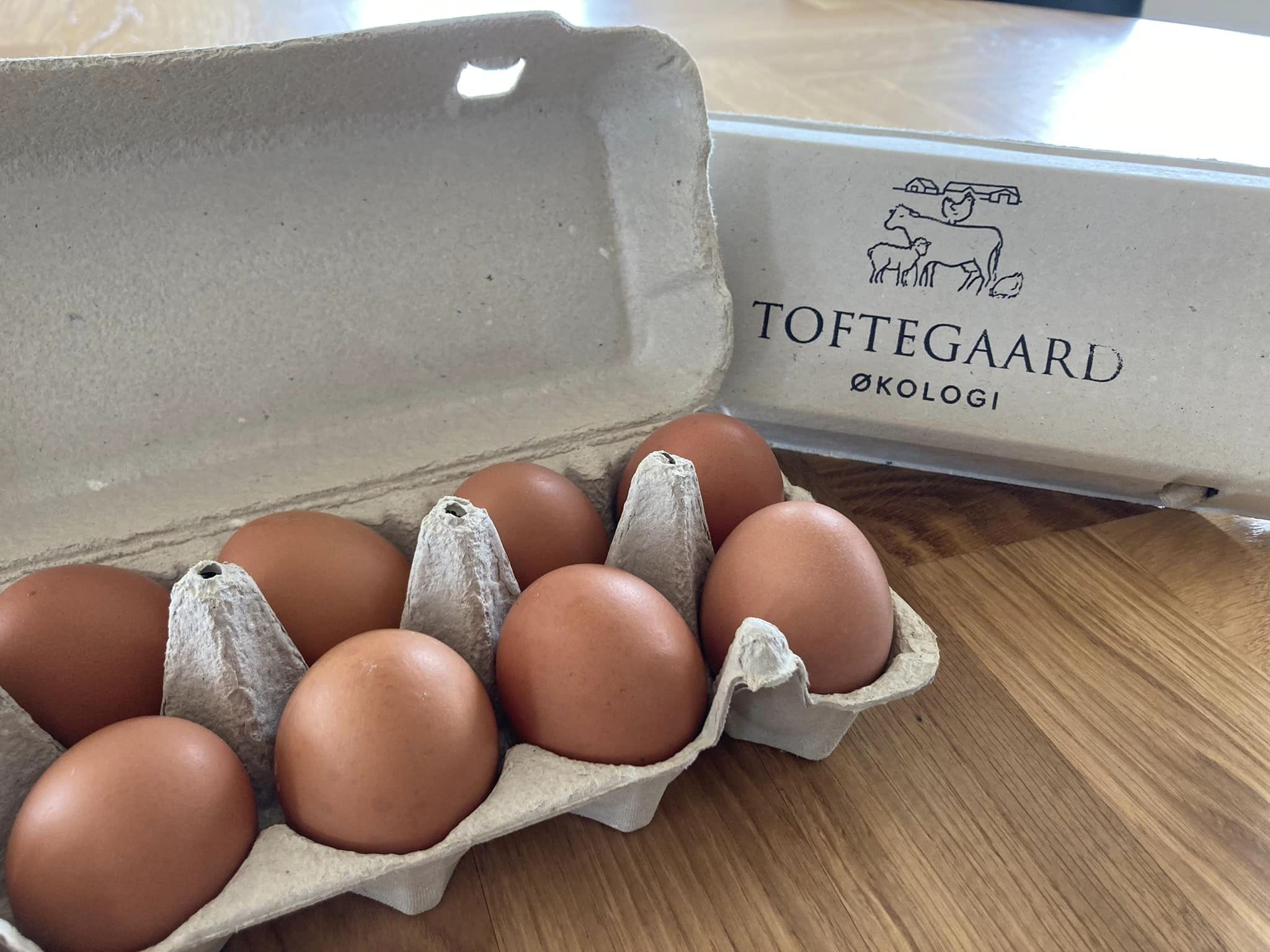 Toftegaard Økologi_01_æg_fødevarenetværk