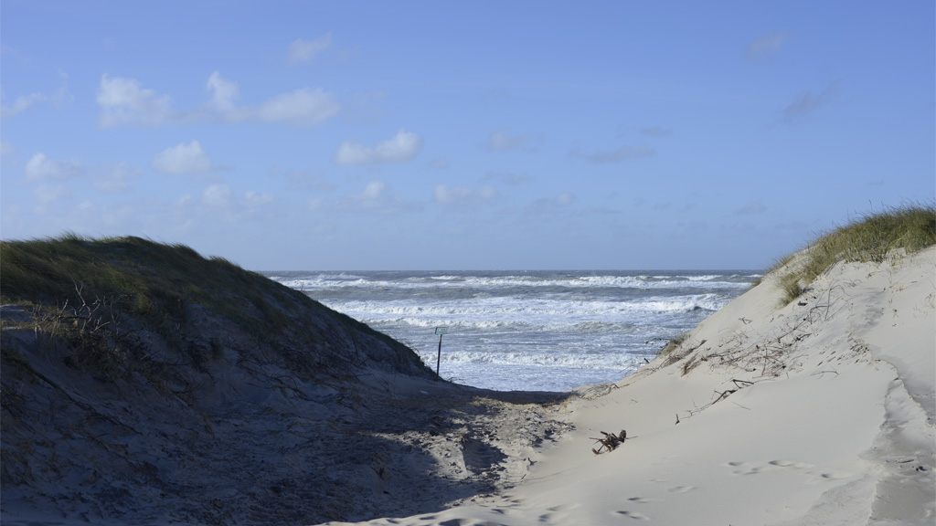 Hvide Sande nordstrand