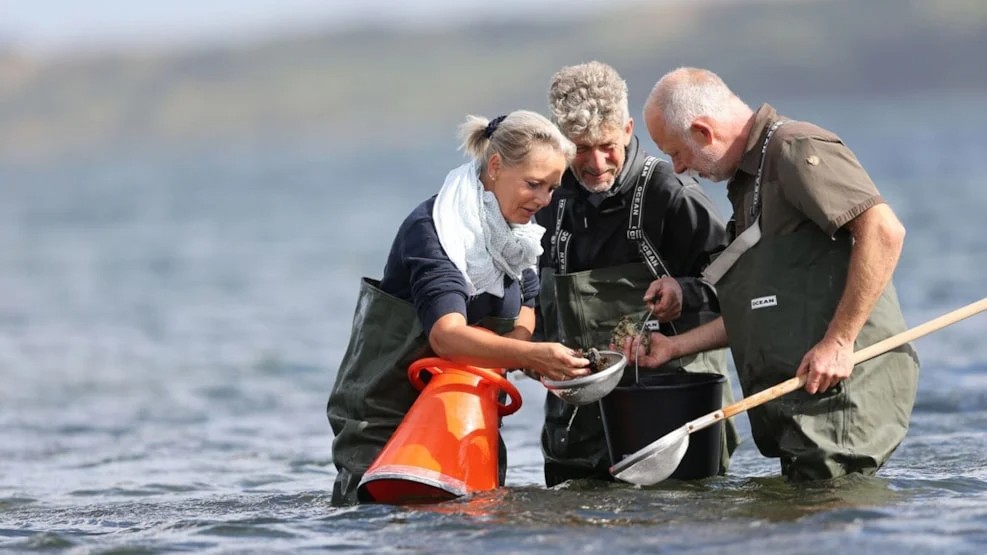 Østers safari_Jyllandsakvariet_2023_web