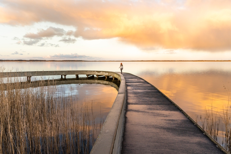 Filsø_sol_natur_Foto kreditering: Sarah Green / @Sarahinthegreen