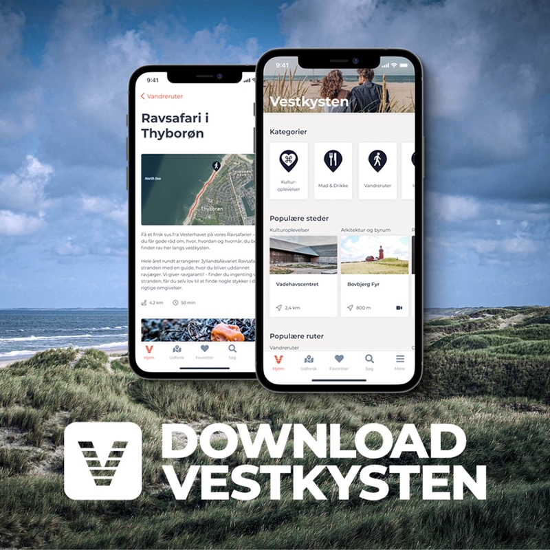 Vestkysten APP_ genrebillede